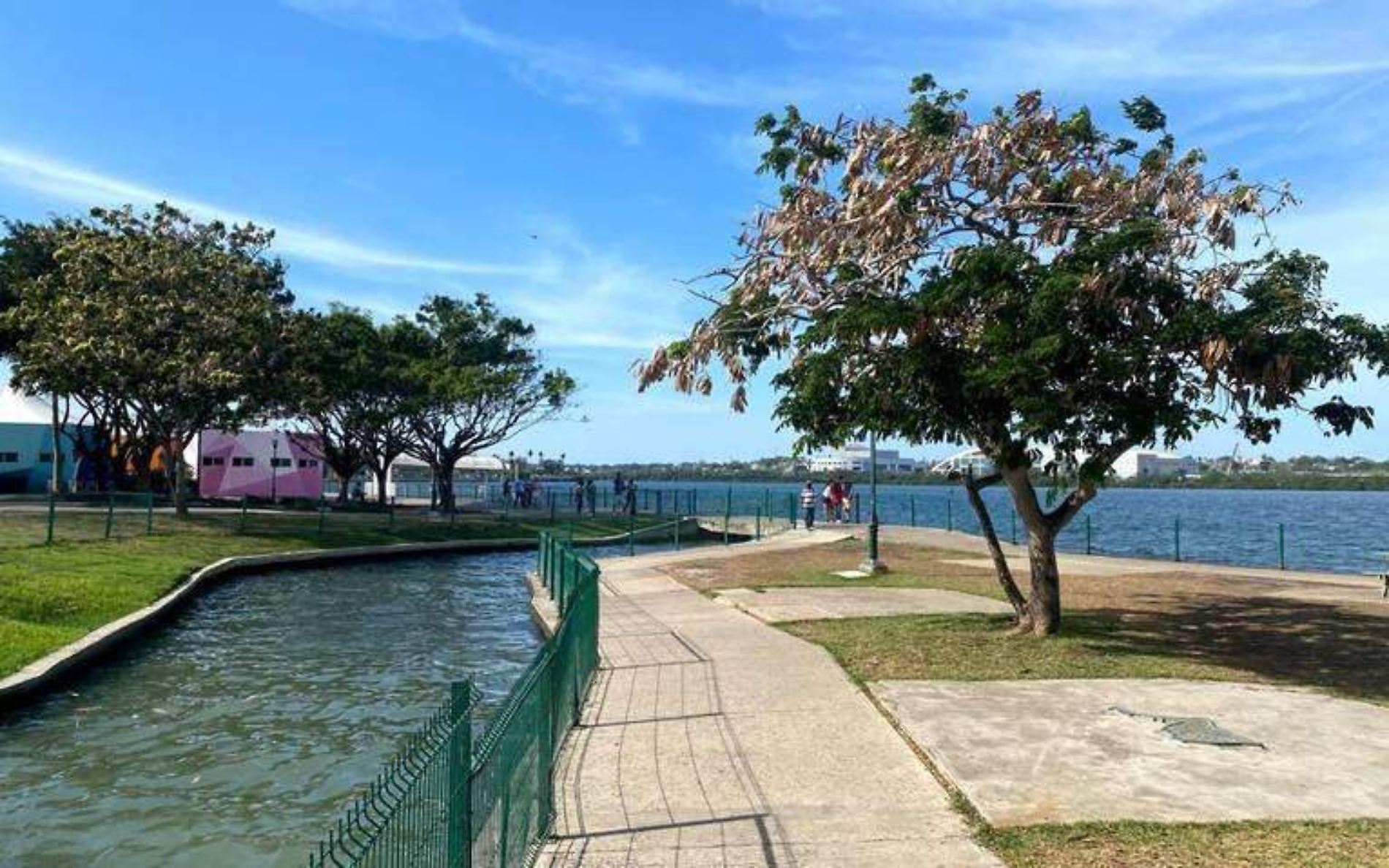 ¿Sabes cuántas y cuáles son las lagunas de Tampico?